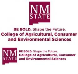 nmsu aces