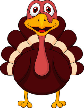 pictures of turkeys cartoon