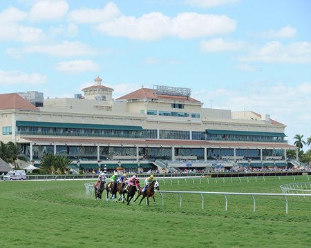 gulfstream racetrack live