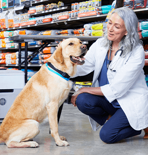 petco ardmore oklahoma