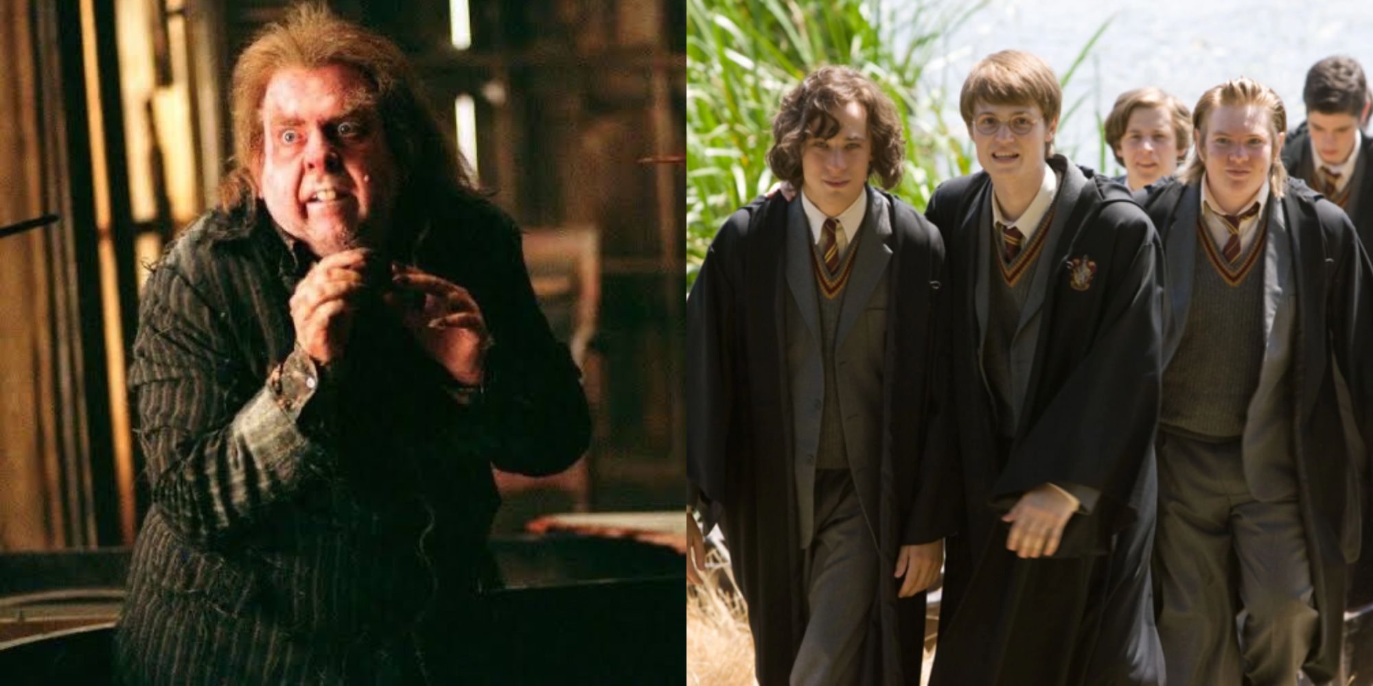 peter pettigrew