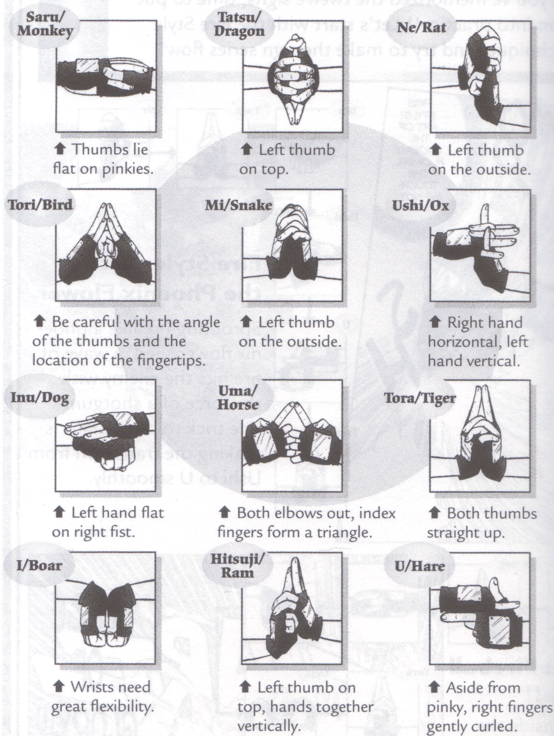 naruto hand signs and jutsu