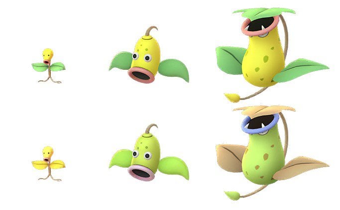 bellsprout evolution