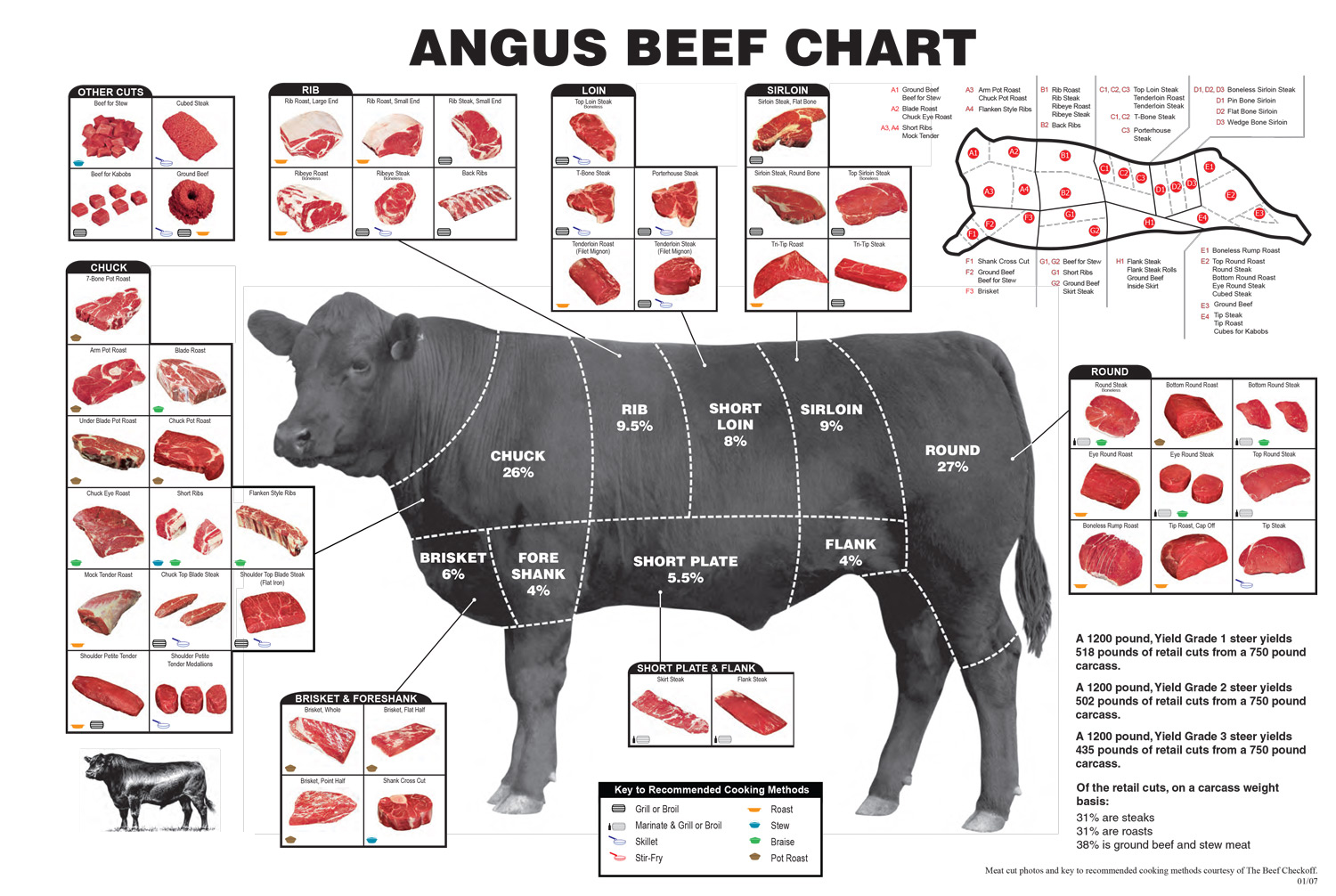 cow beef diagram