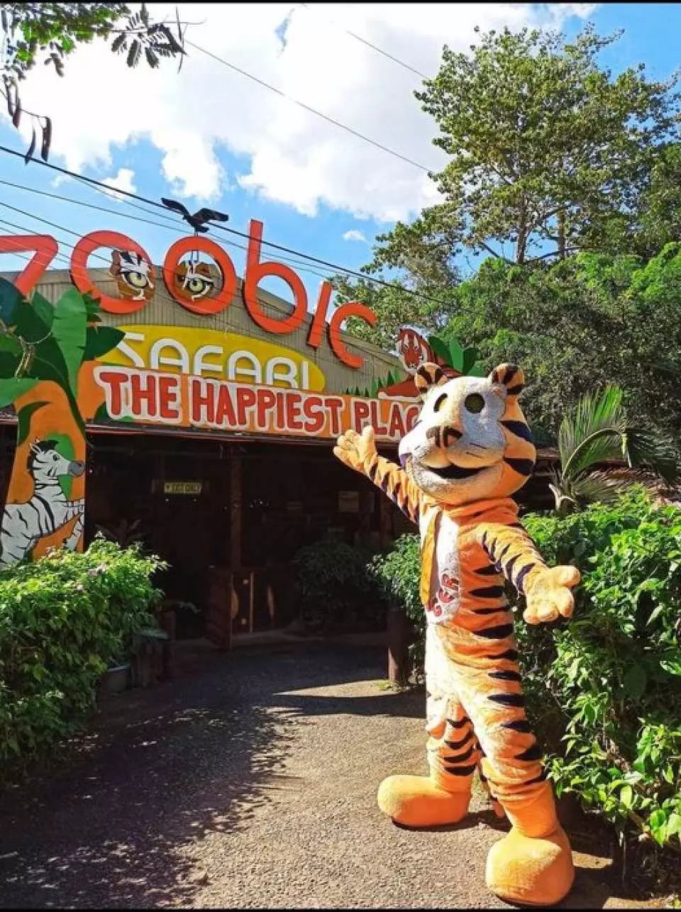 zoobic safari philippines