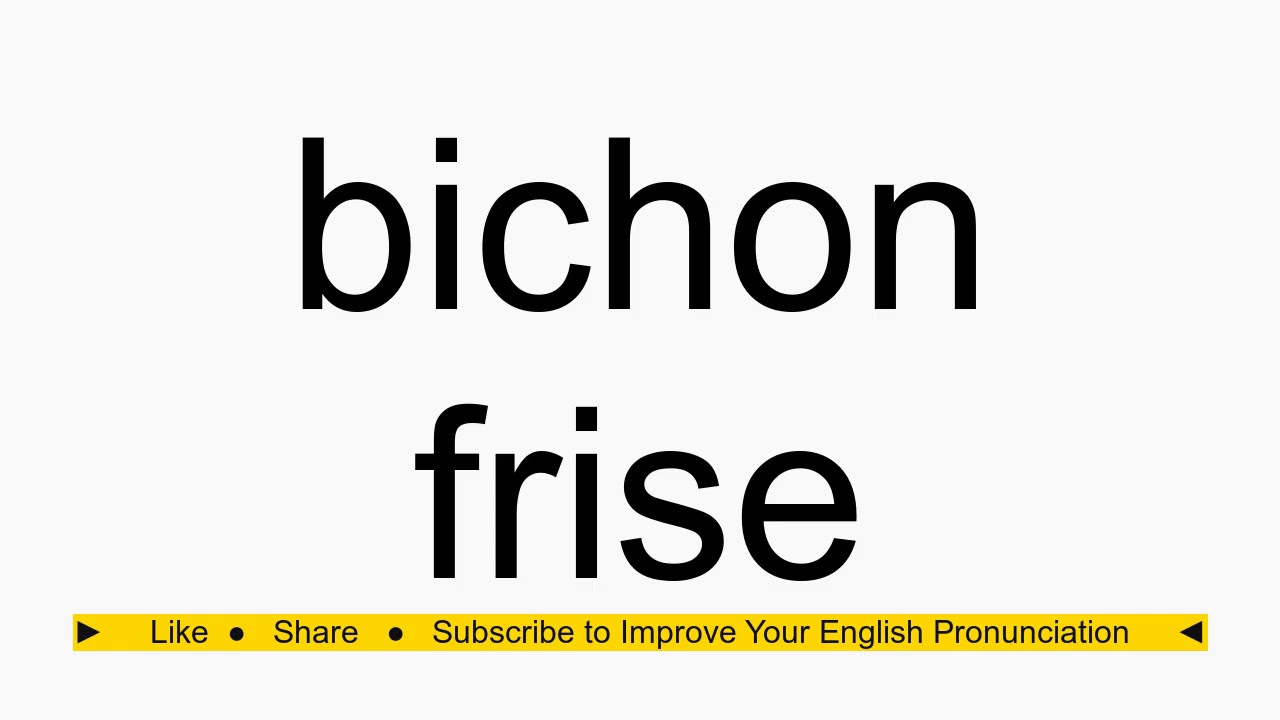 bichon frise pronounce