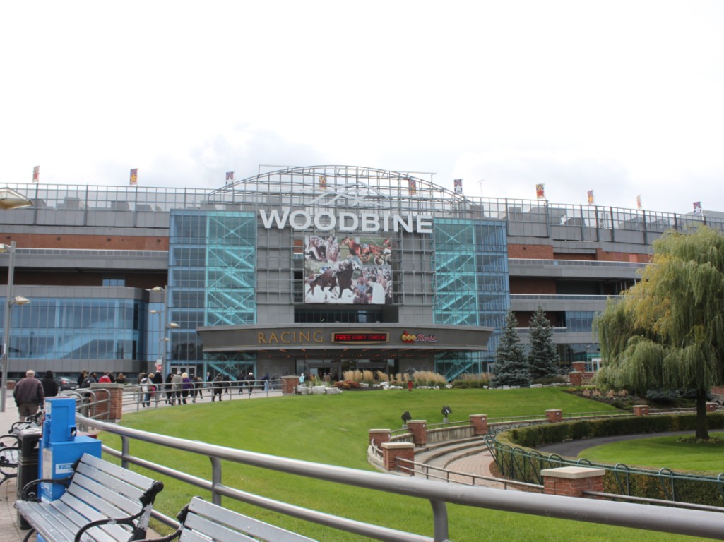 woodbine race track