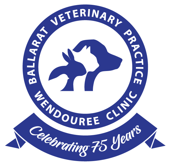 emergency vet ballarat