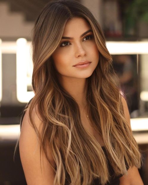 hair brown with blonde highlights