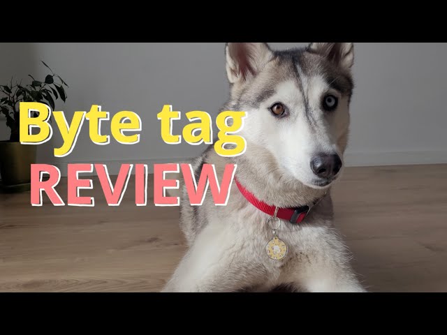 bytetag review