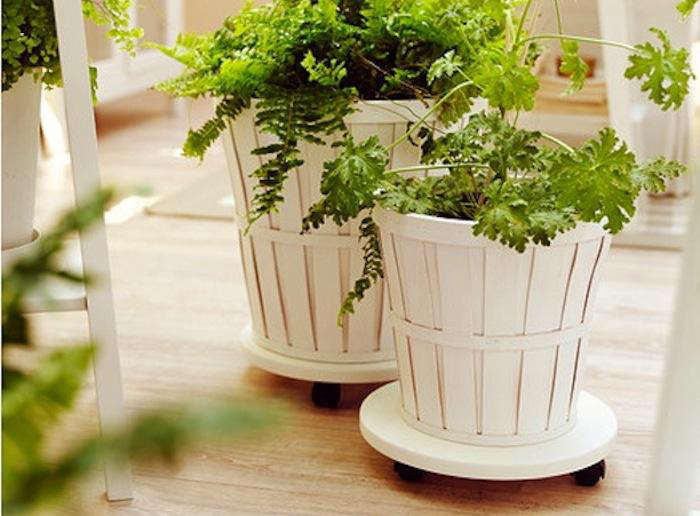 plant stand with wheels