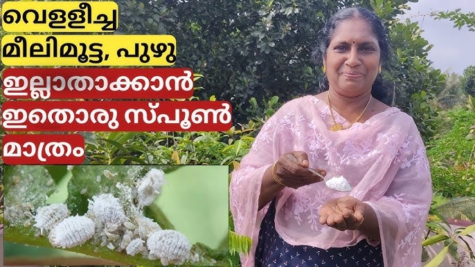 secluded meaning in malayalam