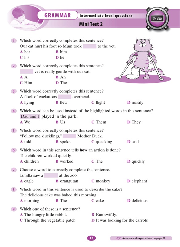 naplan year 2 free practice tests