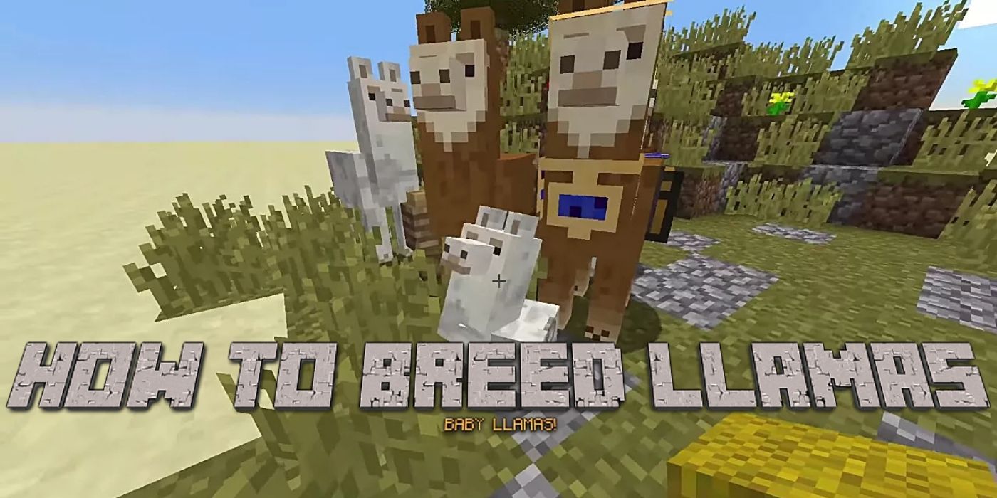 minecraft breeding llamas