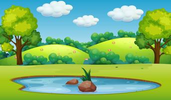 cartoon pond