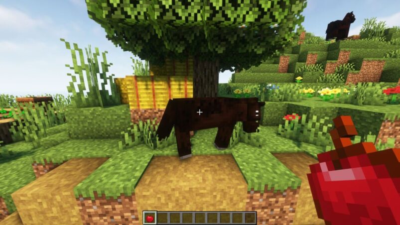 what does minecraft horses eat