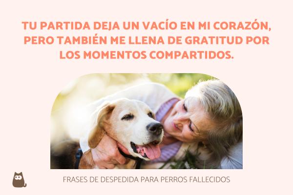 frases perritos fallecidos