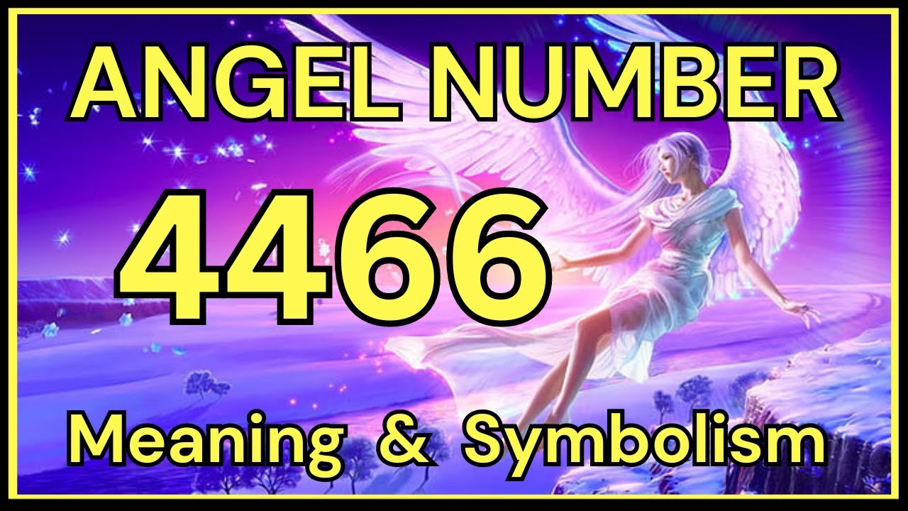 4466 angel number