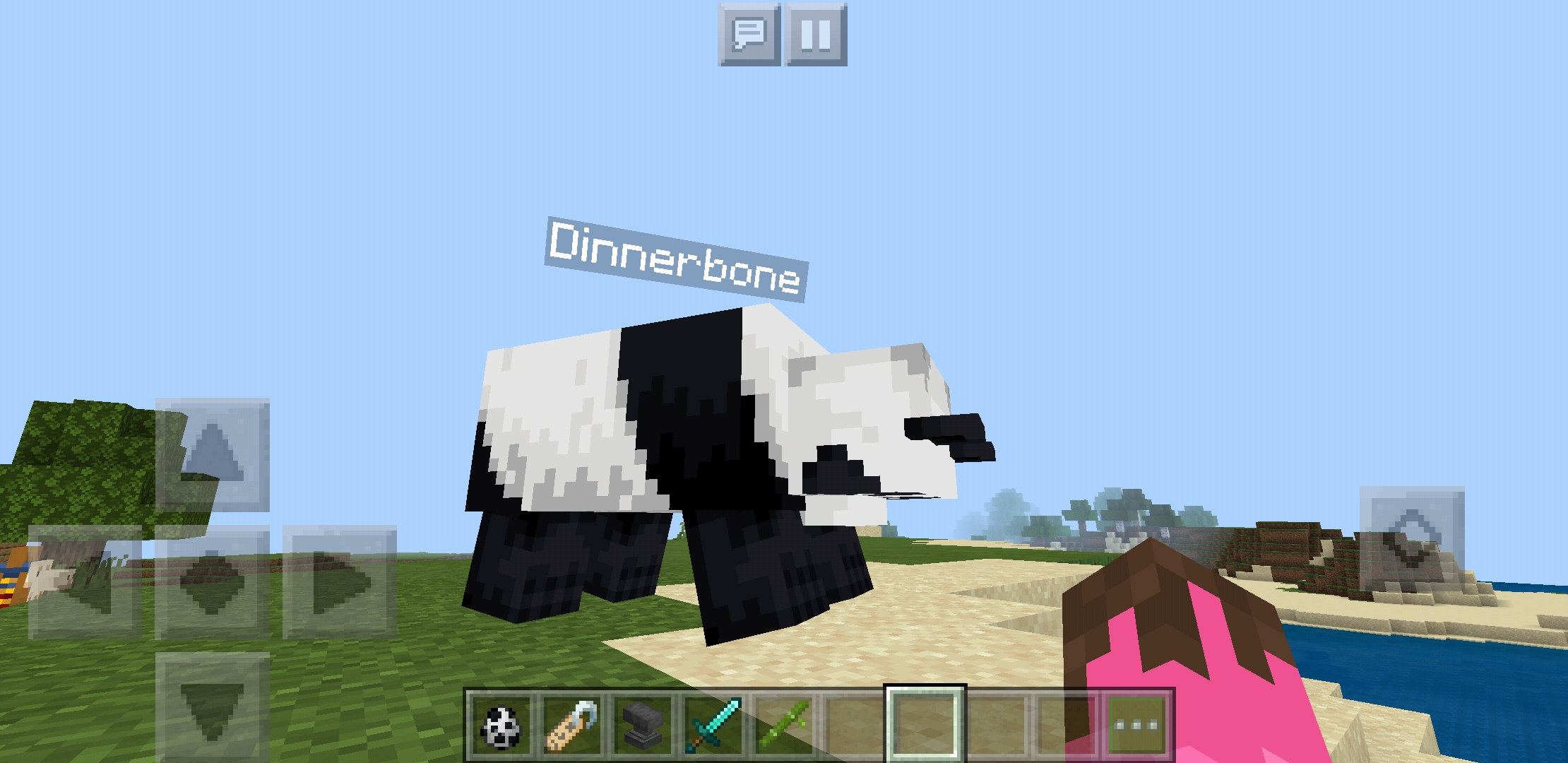 dinnerbone in minecraft