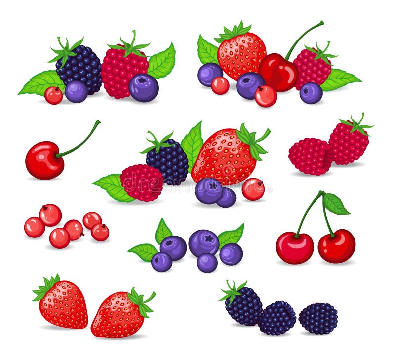 berries clipart