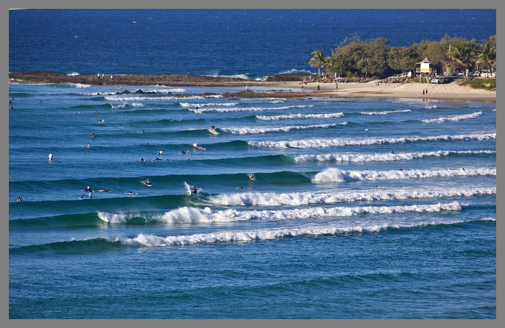 surfcam snapper