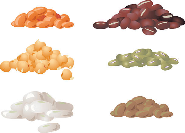 lentils clipart