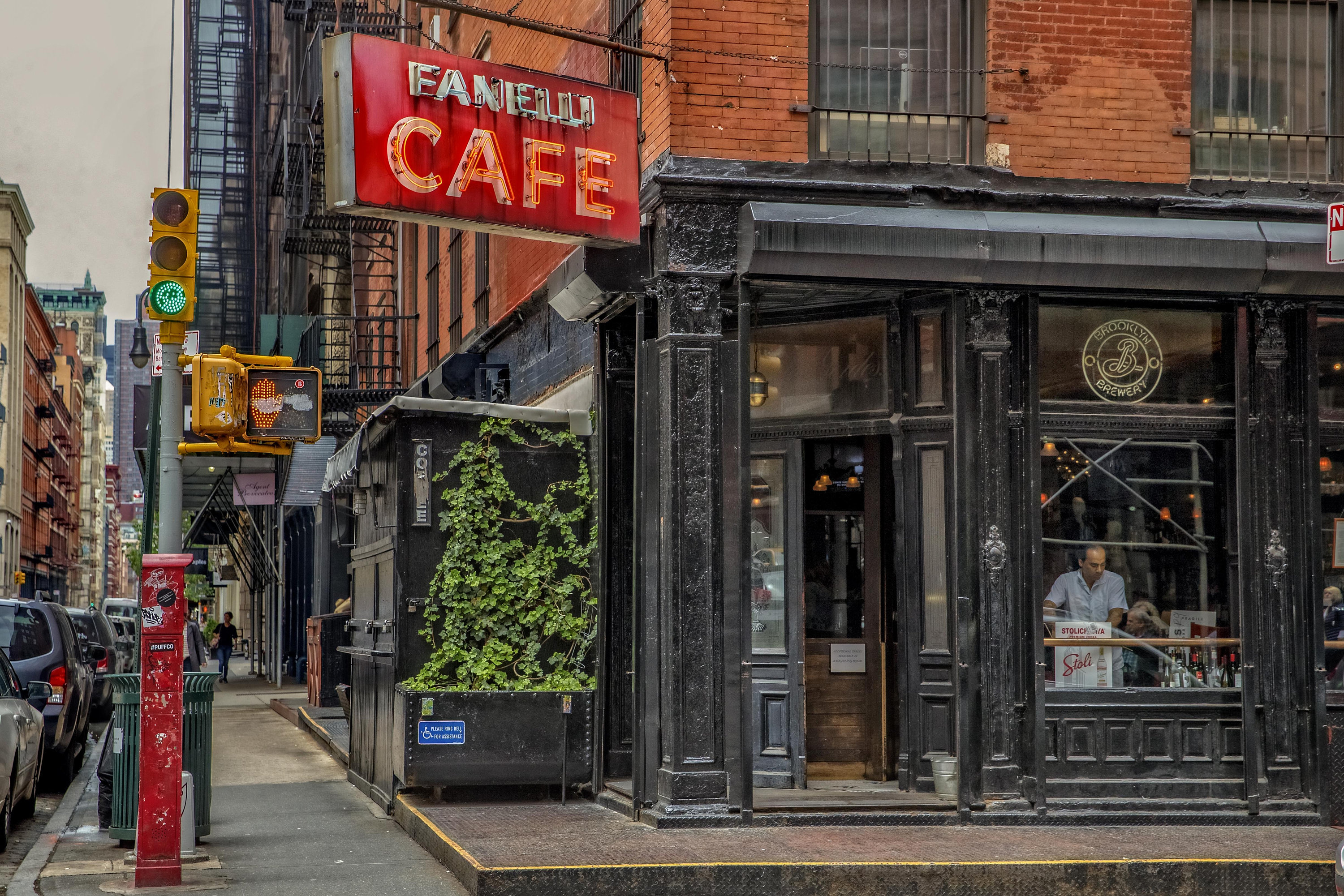 fanelli cafe new york