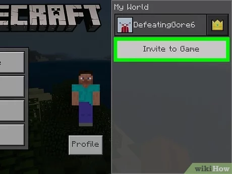 minecraft pe uzaktan multiplayer oynama