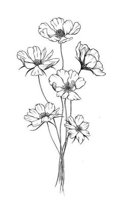 drawing outline flowers