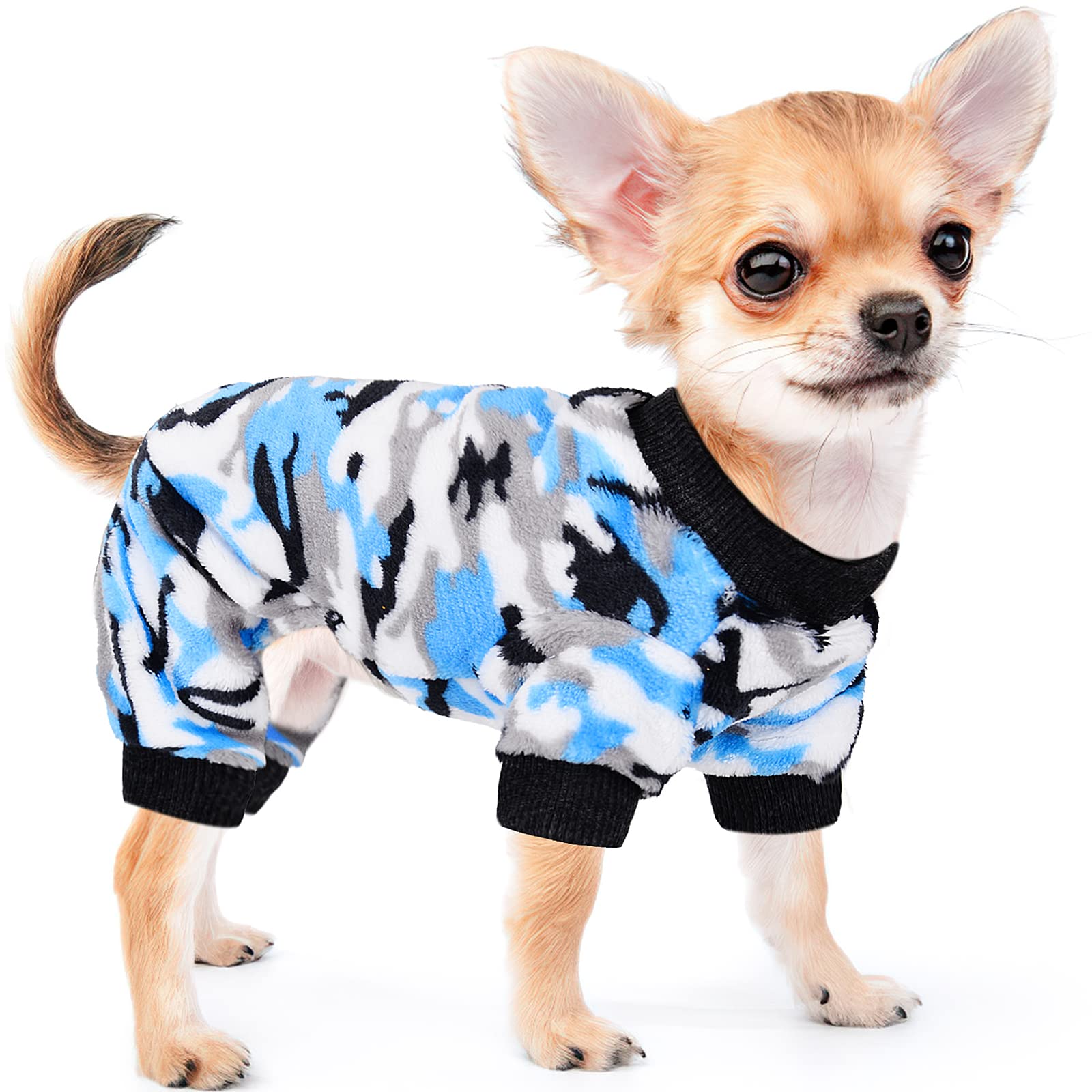 chihuahua warm clothes