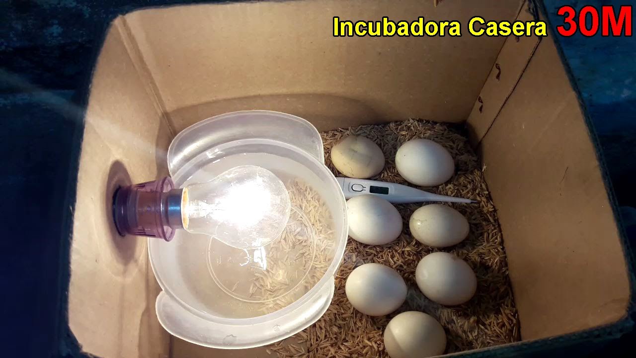 como hacer una incubadora casera