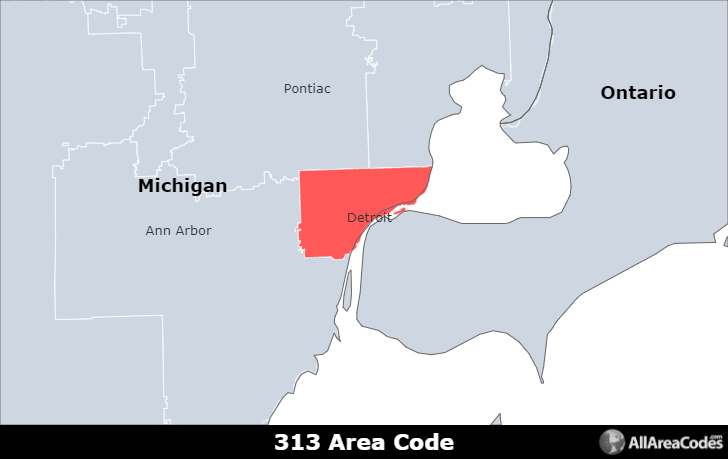 313 area code location