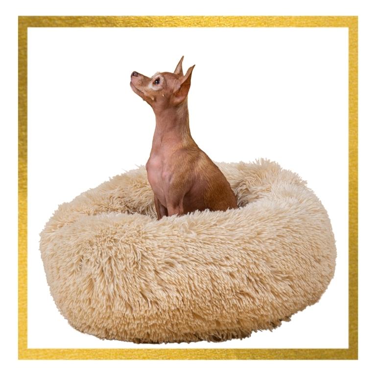 calming dog bed canada