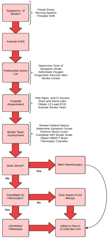 acls study guide pdf