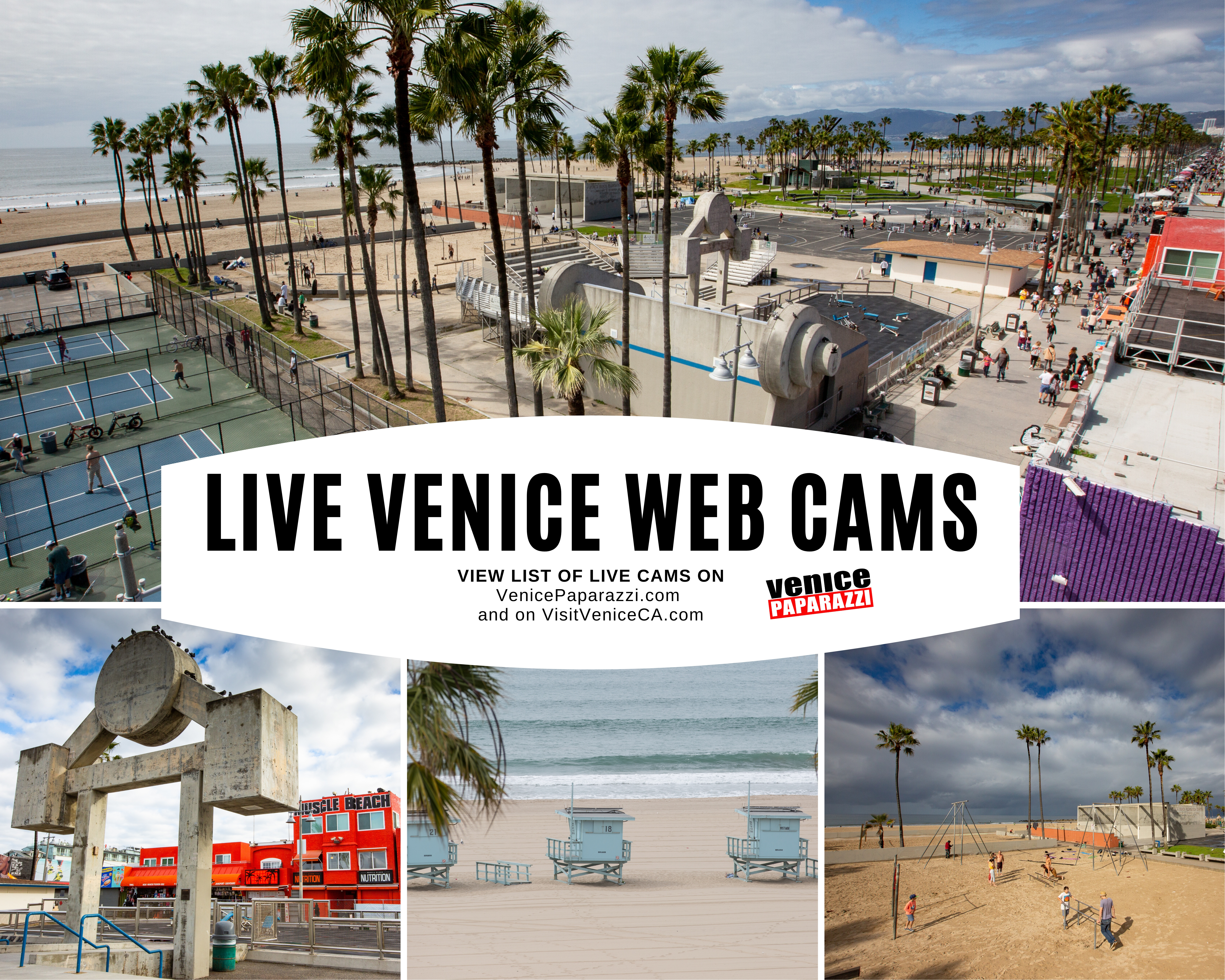 live cam venice beach california