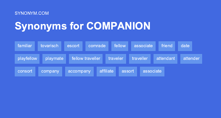 companion antonym