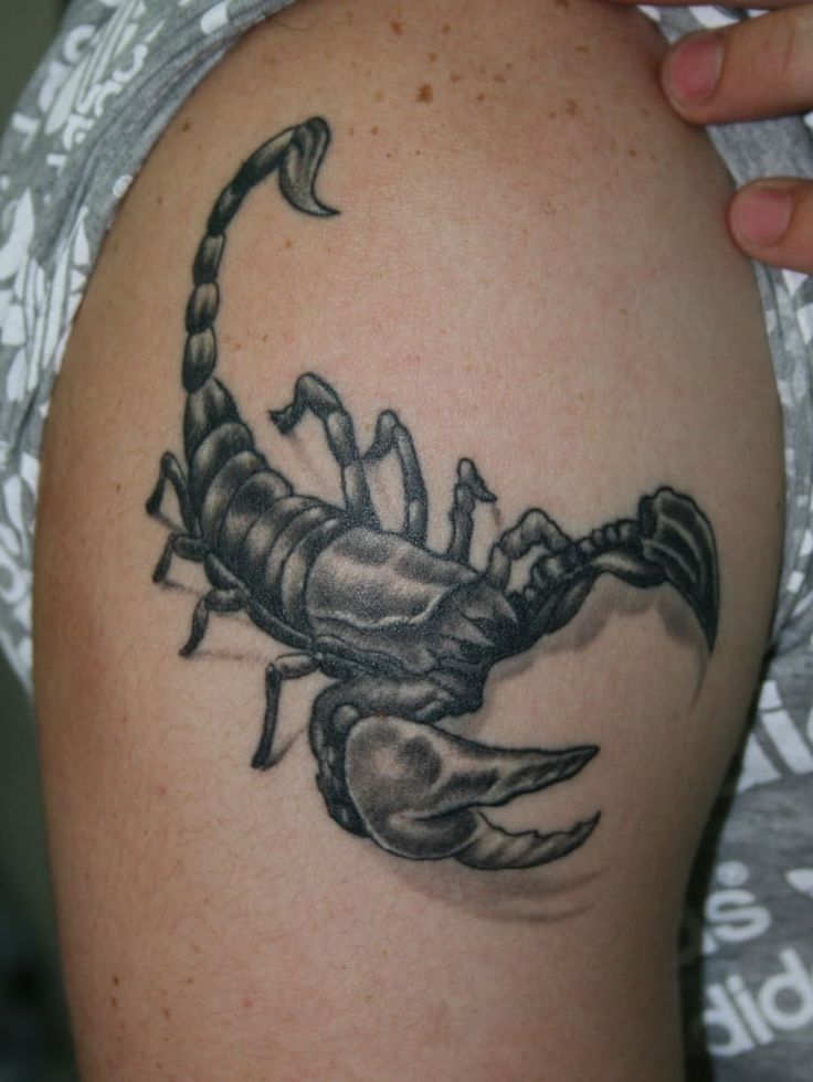 scorpio tattoos for males