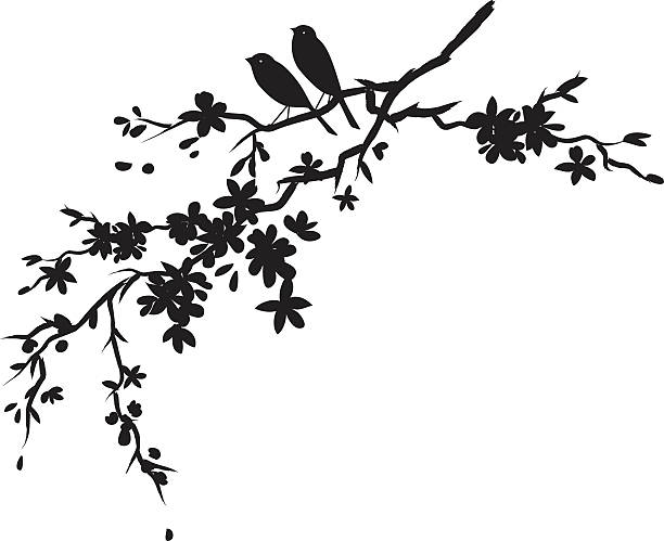 cherry blossom silhouette