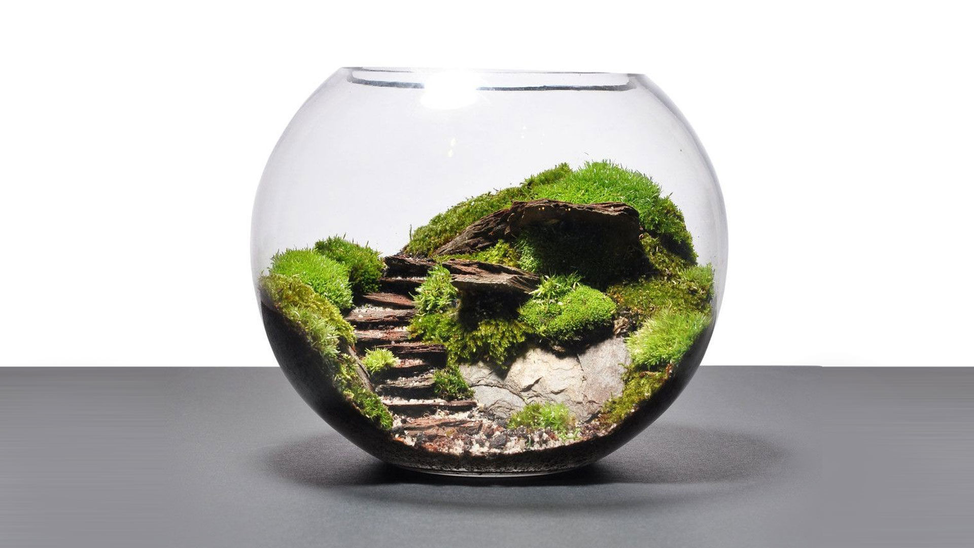 terrarium meaning in hindi