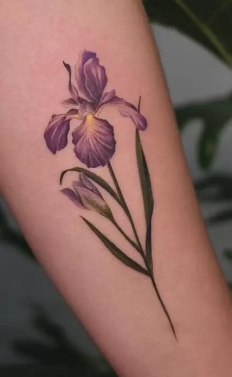 blue iris tattoo meaning
