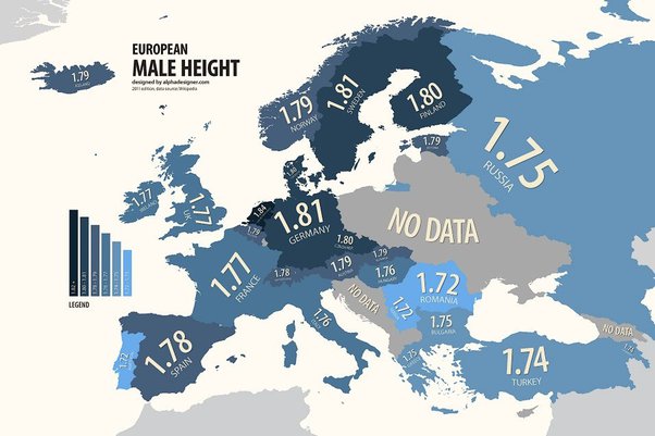 medium height in spanish