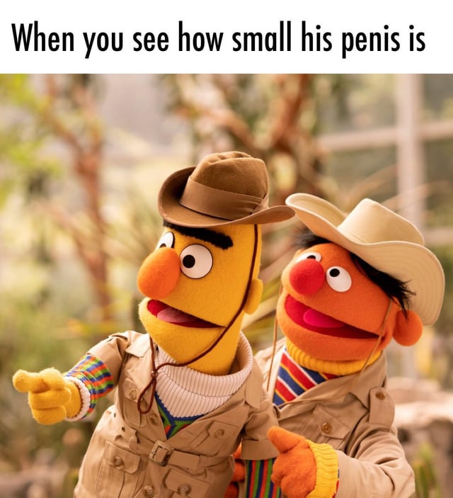 bert en ernie meme