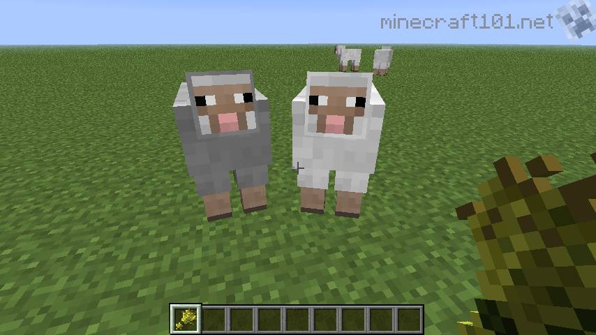 how to tame sheep minecraft
