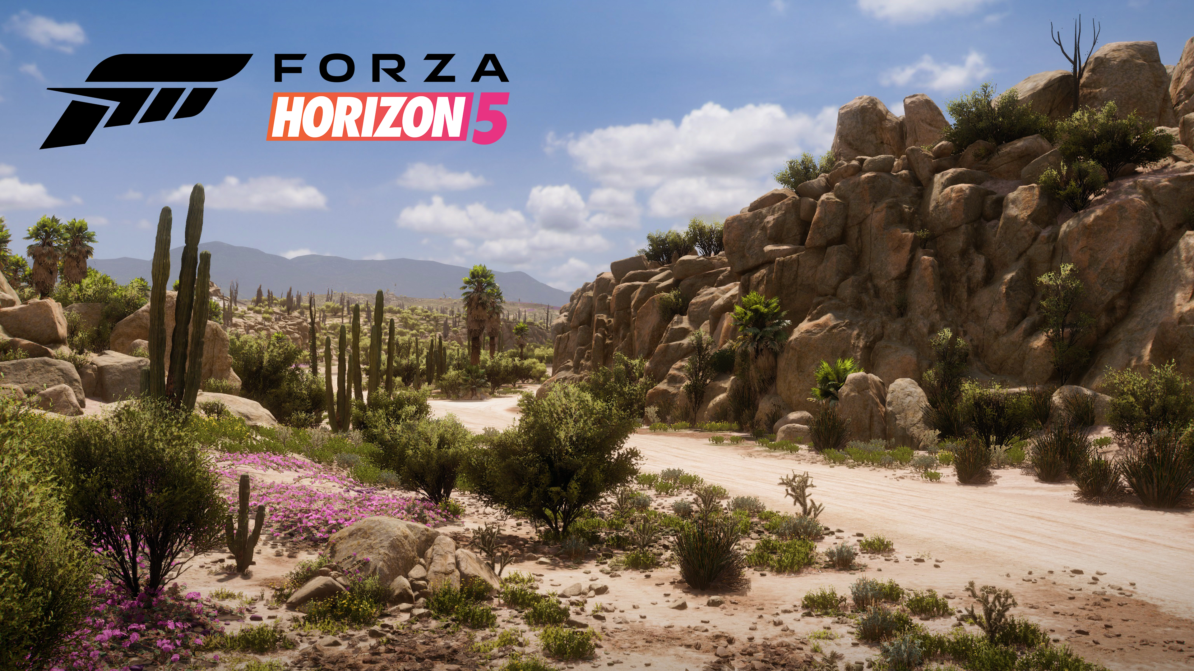 forza horizon 5 support