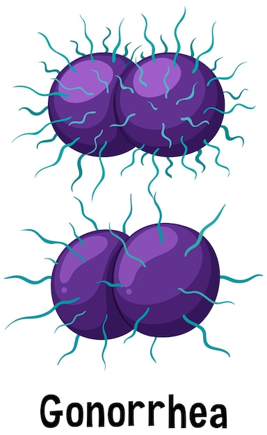 gonorrea imágenes animadas