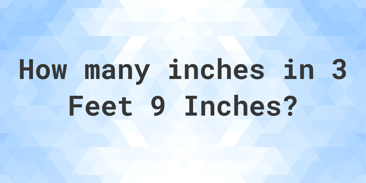 3 foot 9 in inches