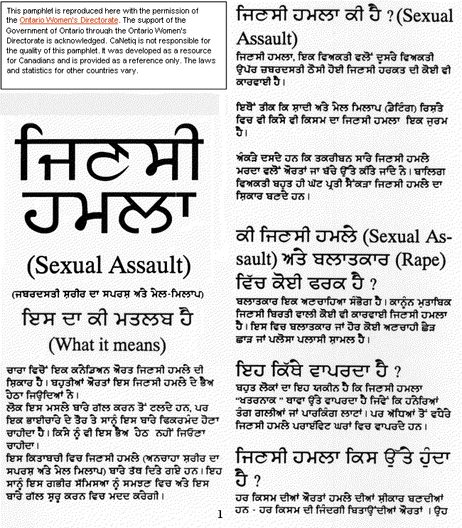 accusation meaning in punjabi