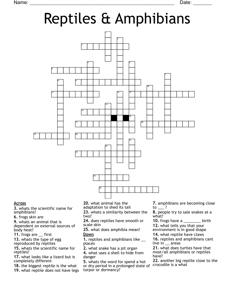 amphibian crossword clue