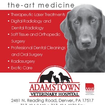 adamstown animal hospital