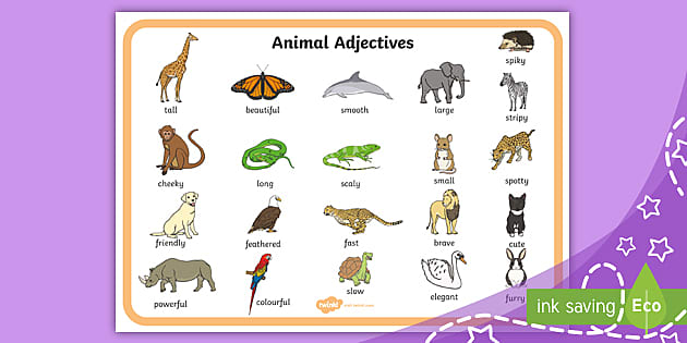 adjectives for describing animals